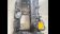 Used tapet cover
