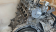 A45 M133 engine